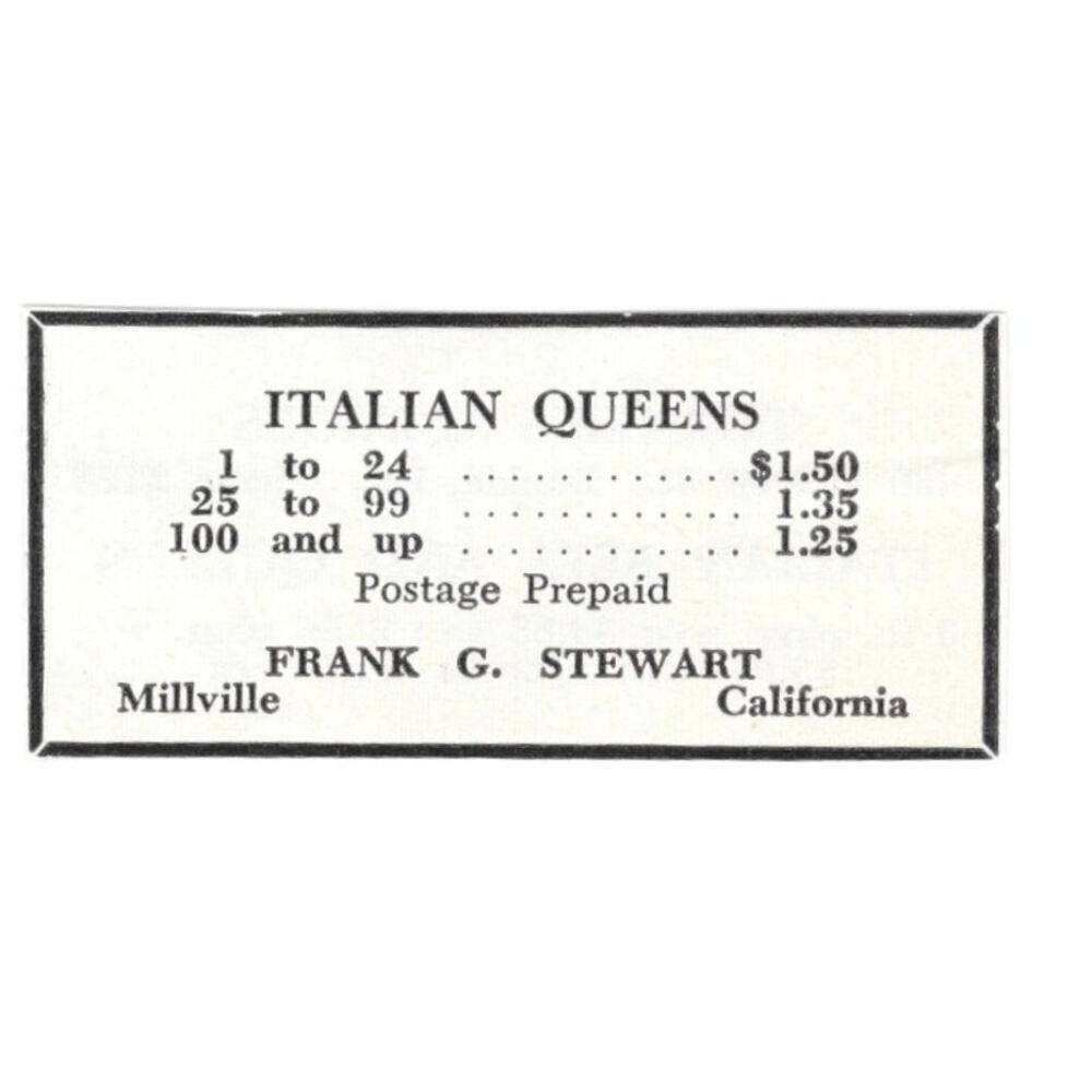 Italian Queens Frank G. Stewart Millville California 1961 Magazine Ad AB6-S13 - Picture 2 of 2